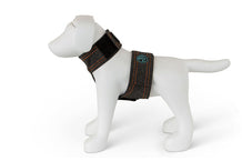Calmer Canine Vest Small