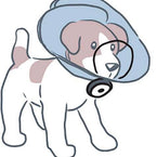 DentaLOOP Bonnet Medium