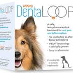 DentaLOOP Bundle Small